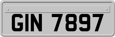 GIN7897