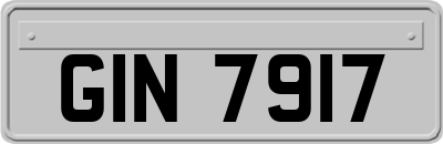 GIN7917