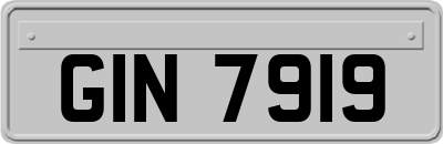 GIN7919