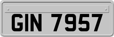 GIN7957