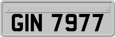 GIN7977