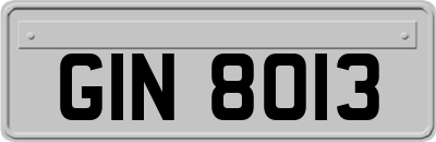 GIN8013