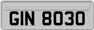 GIN8030