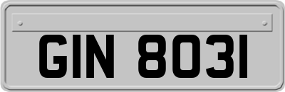 GIN8031