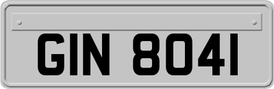 GIN8041