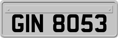 GIN8053