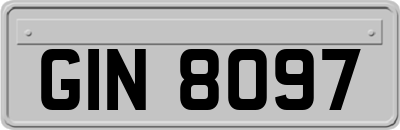 GIN8097