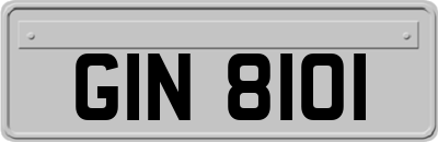 GIN8101