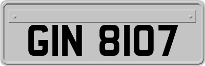 GIN8107