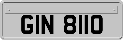 GIN8110