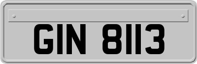 GIN8113