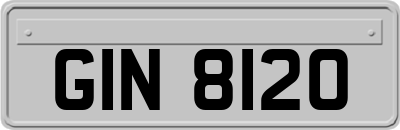 GIN8120