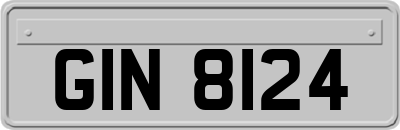 GIN8124