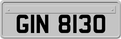 GIN8130