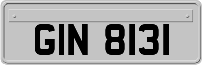 GIN8131
