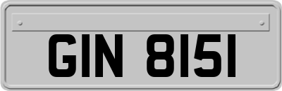 GIN8151
