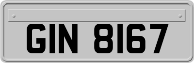 GIN8167