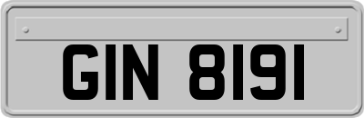 GIN8191