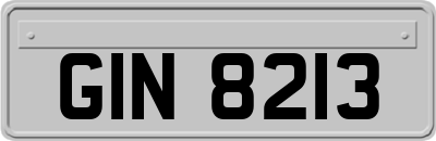 GIN8213