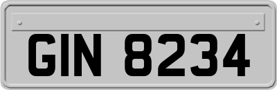 GIN8234