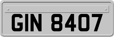 GIN8407
