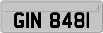 GIN8481