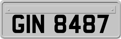 GIN8487