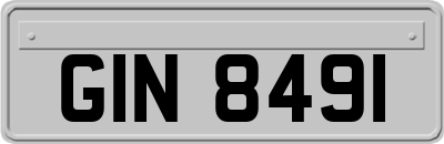 GIN8491