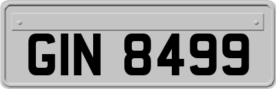 GIN8499