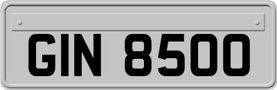 GIN8500