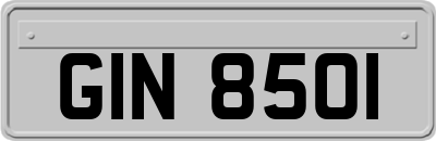 GIN8501