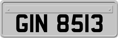 GIN8513