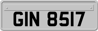 GIN8517