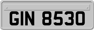 GIN8530