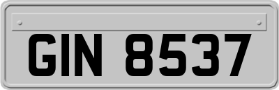 GIN8537