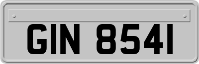 GIN8541