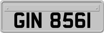 GIN8561