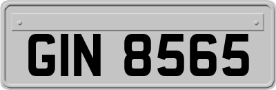 GIN8565