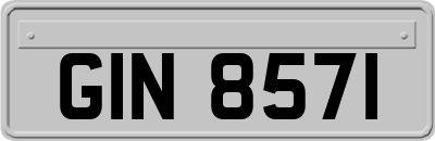 GIN8571