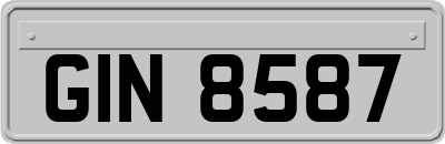 GIN8587
