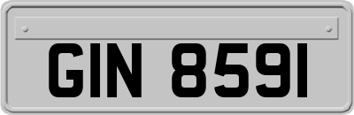 GIN8591