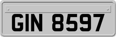 GIN8597