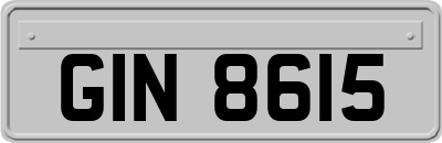 GIN8615