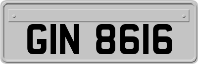 GIN8616