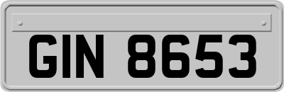 GIN8653
