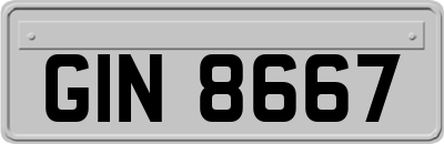 GIN8667