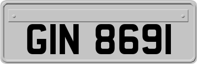 GIN8691