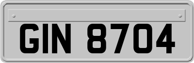 GIN8704