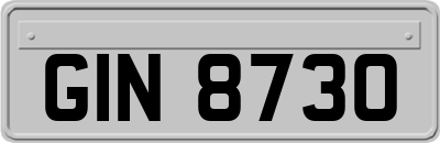 GIN8730