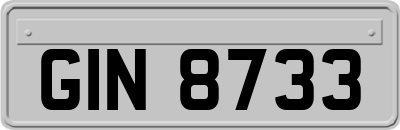 GIN8733